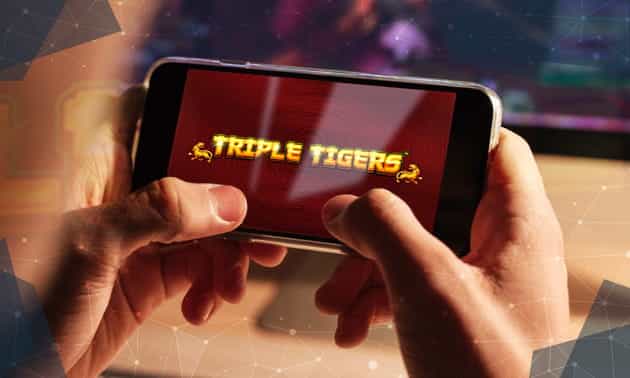 Slot Triple Tigers, sviluppata da Pragmatic Play