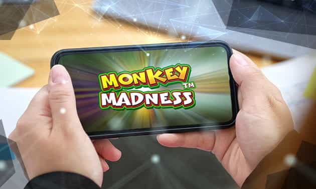 Slot Monkey Madness, sviluppata da Pragmatic Play