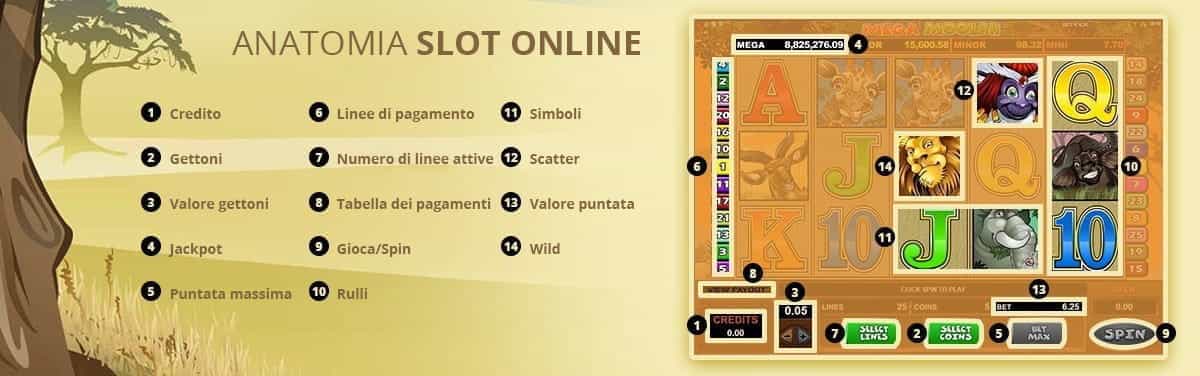 Infografica sugli elementi di una slot online