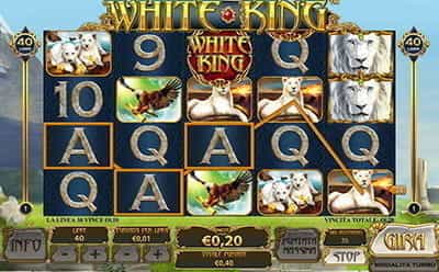 Una giocata vincente sulla videoslot White King.