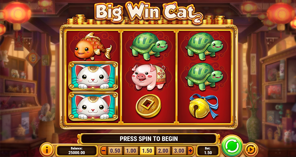 Big Win Cat gratis: la demo
