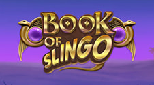 Il logo di Book of Slingo