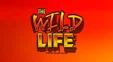 La VLT Wild Life