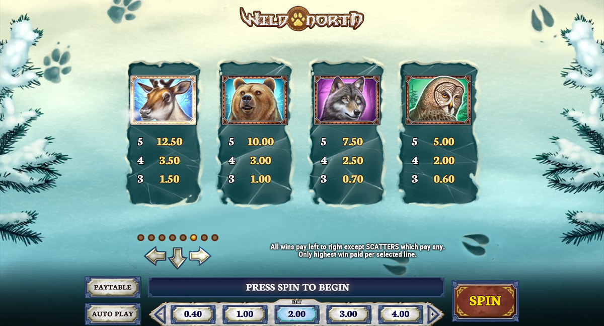 La tabella dei pagamenti della slot Wild North