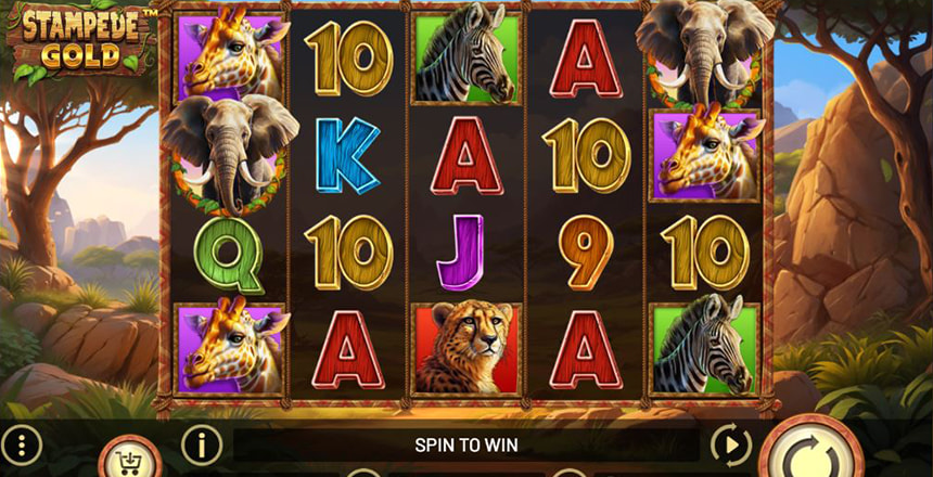 La slot Stampede Gold prodotta da Betsoft.