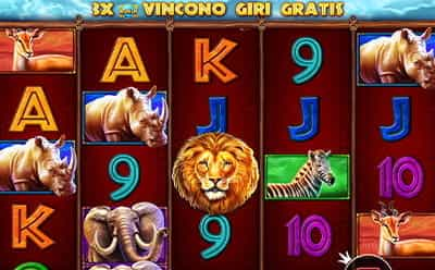 Safari King giro bonus