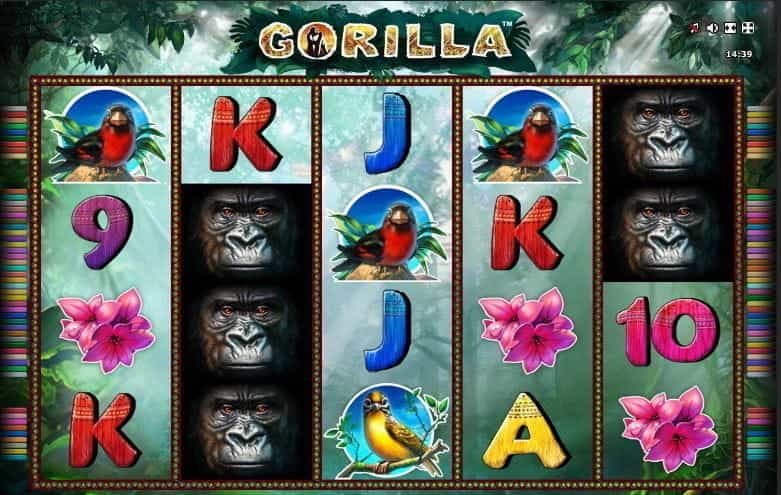 La slot Gorilla di Novomatic.